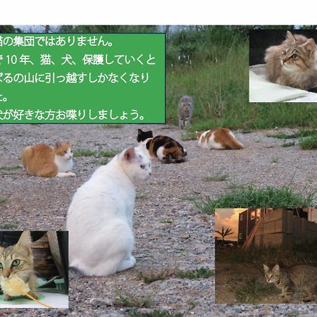 Okinawa Freedom Villa Nakijin Ngoại thất bức ảnh