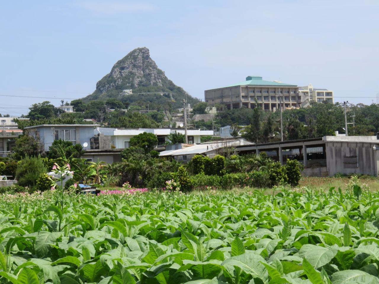 Okinawa Freedom Villa Nakijin Ngoại thất bức ảnh
