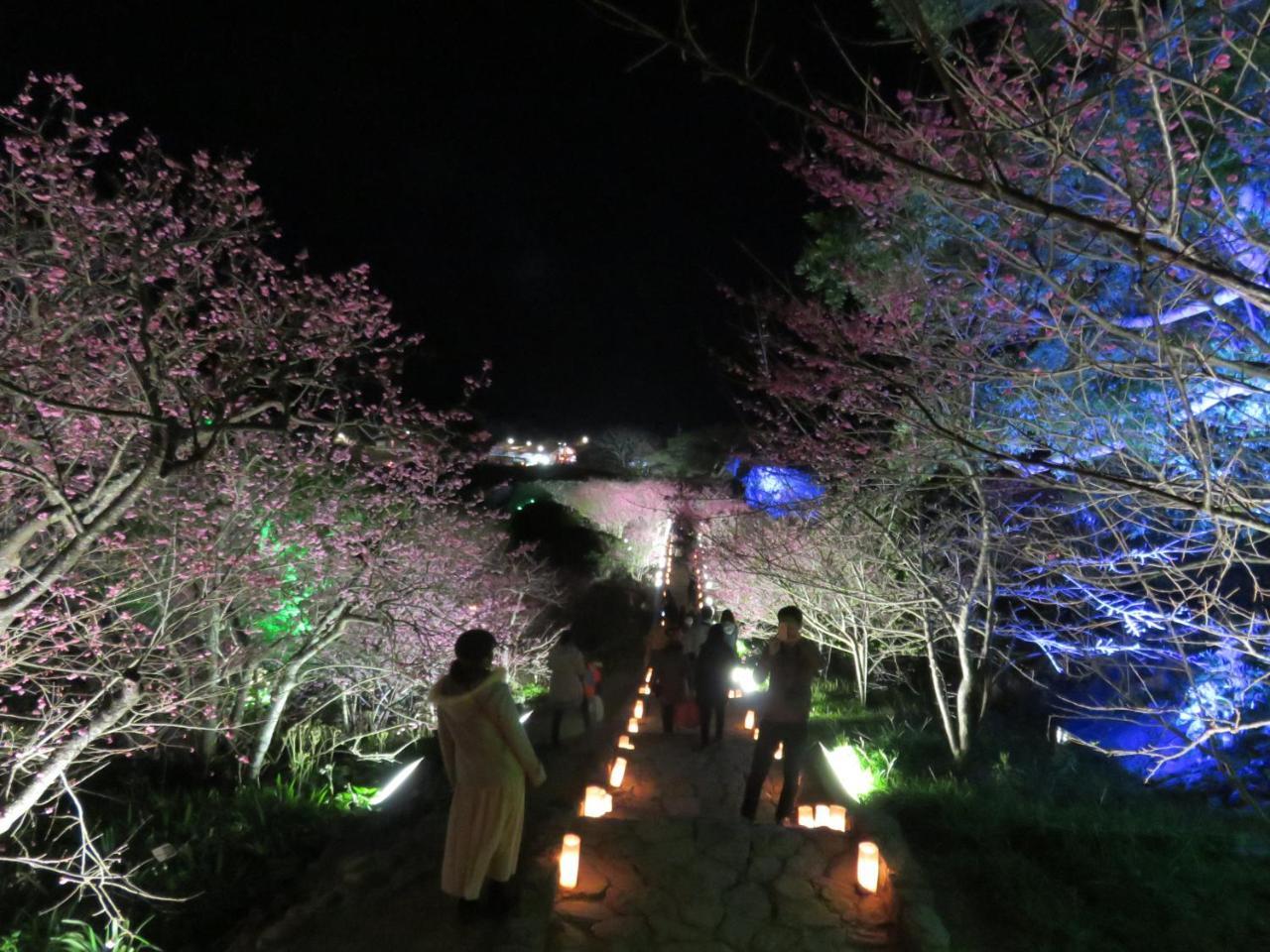 Okinawa Freedom Villa Nakijin Ngoại thất bức ảnh