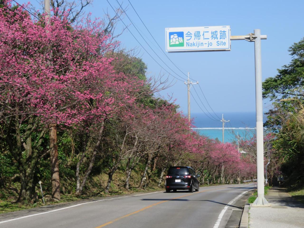 Okinawa Freedom Villa Nakijin Ngoại thất bức ảnh