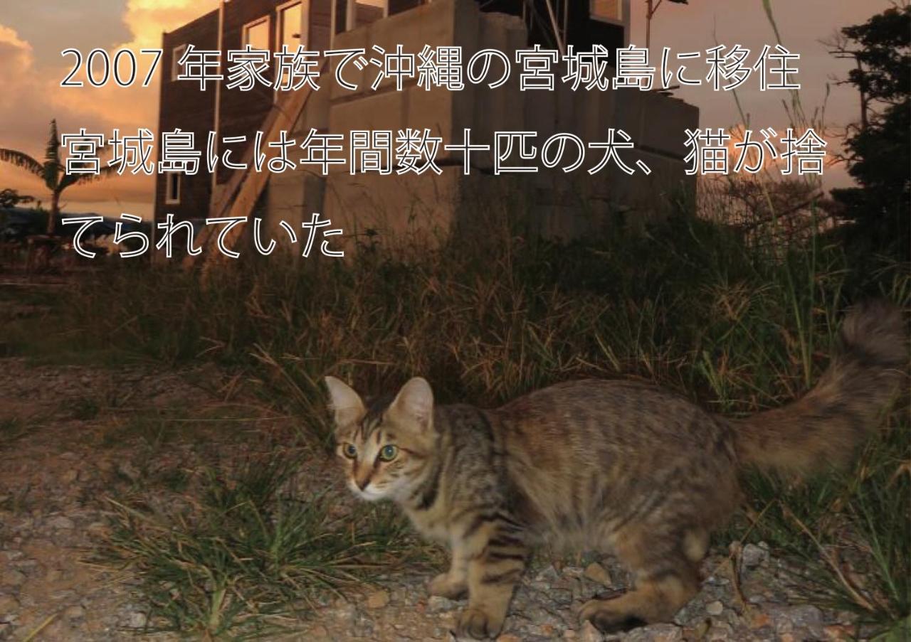 Okinawa Freedom Villa Nakijin Ngoại thất bức ảnh